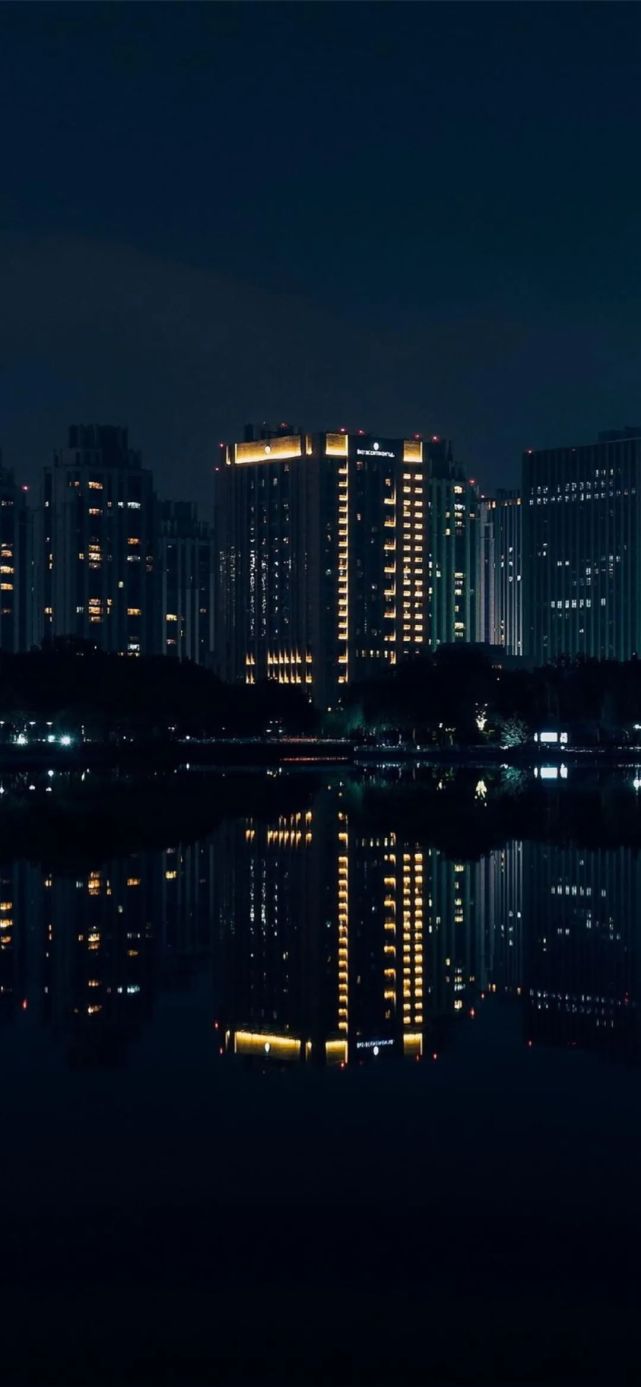 壁纸 夜景 641_1387 竖版 竖屏 手机