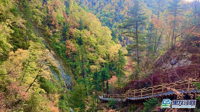 春华秋实 凤凰山"色—凤凰山国家森林公园秋日好风光