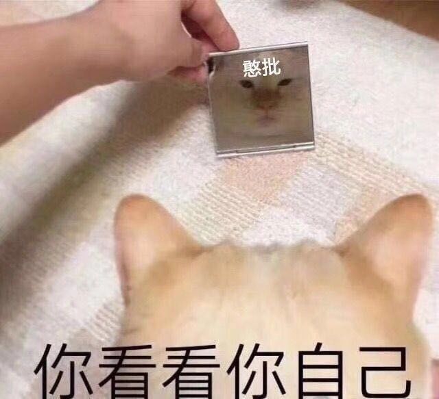 表情包丨第1314期
