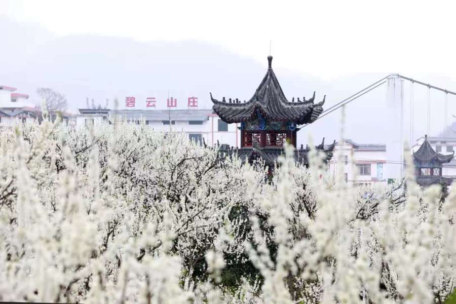 沿河自治县沙子街道南庄村距县城6公里,全村国土面积1.