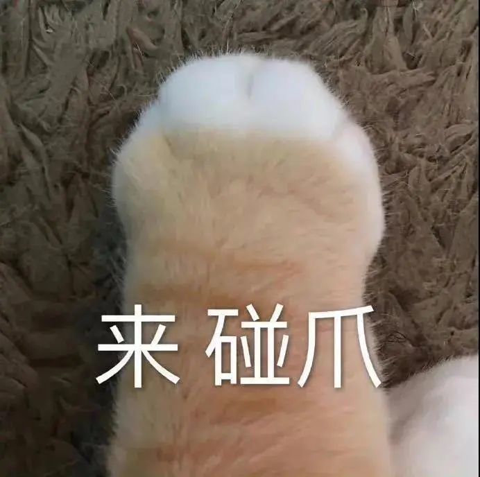 微信聊天沙雕表情包你好交个朋友