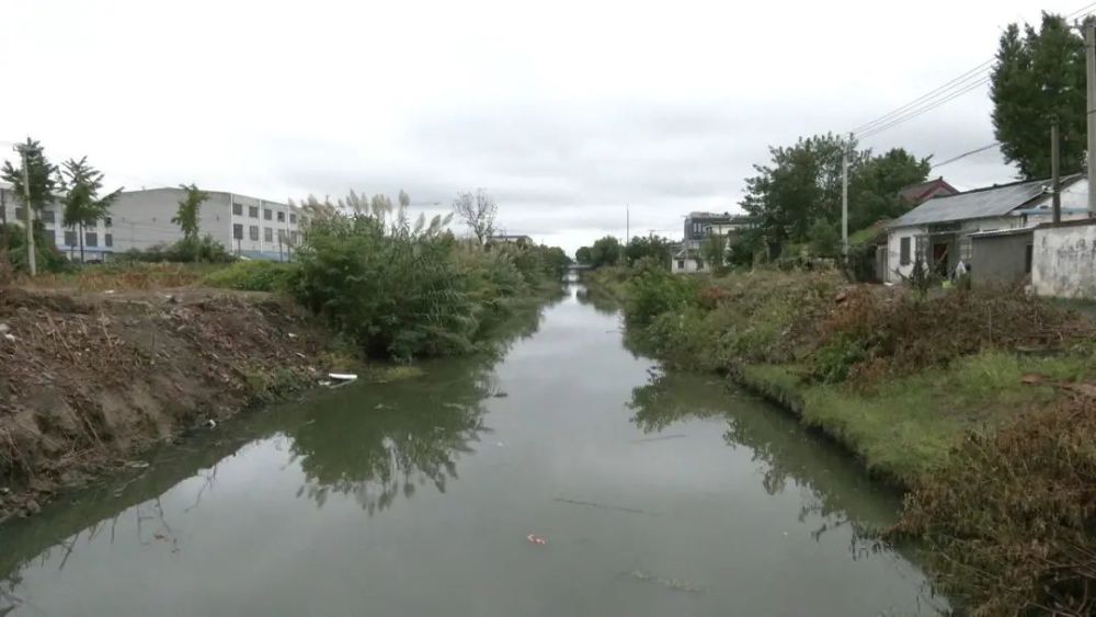 发现了不少问题进行了全面检查河道环境整治工作对城东镇南屏村周济河