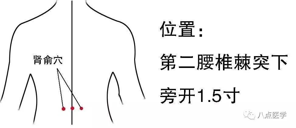 位置:本穴在肚脐正中直上3 寸(或4横指)处.