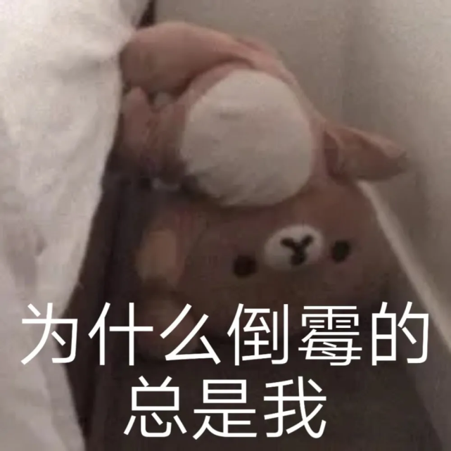 搞笑表情包第十五期下雨了怎么办