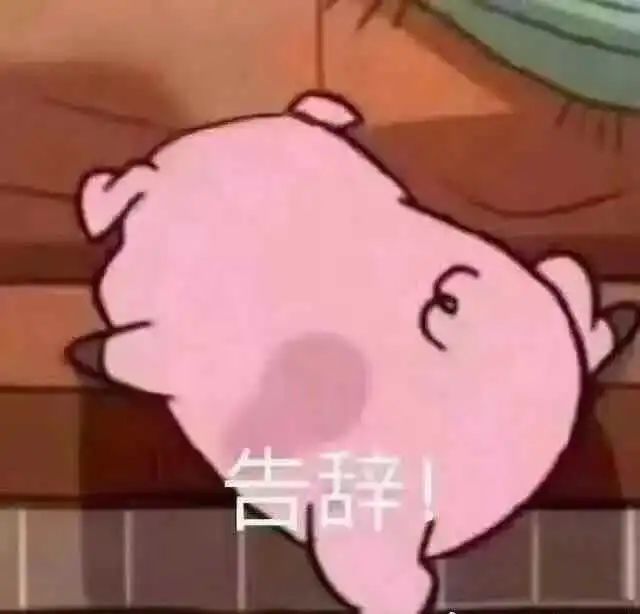 5via:银教授鱼虽然六亲不认,但是鱼不掉毛.比起养狗,我更喜欢养鱼.