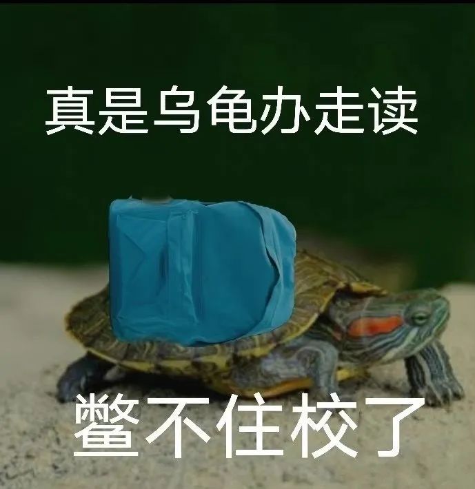 沙雕表情包真是拿你没办法