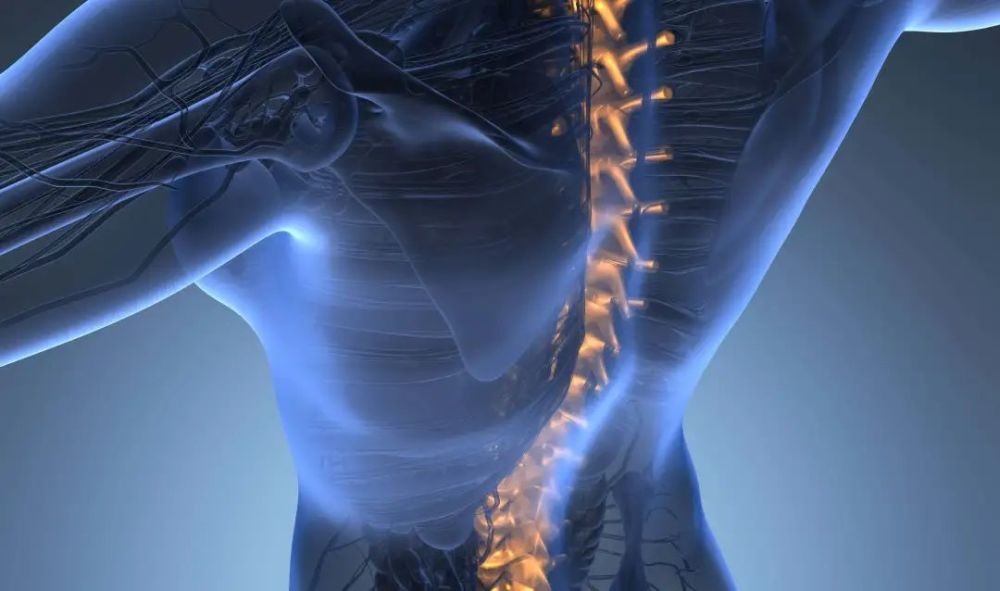 脊柱侧凸的分析与诊疗