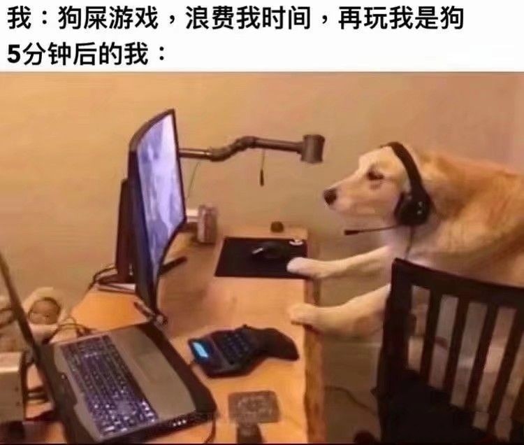 搞笑图片再玩游戏我就是狗