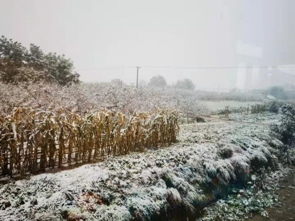 庆阳,下雪啦!