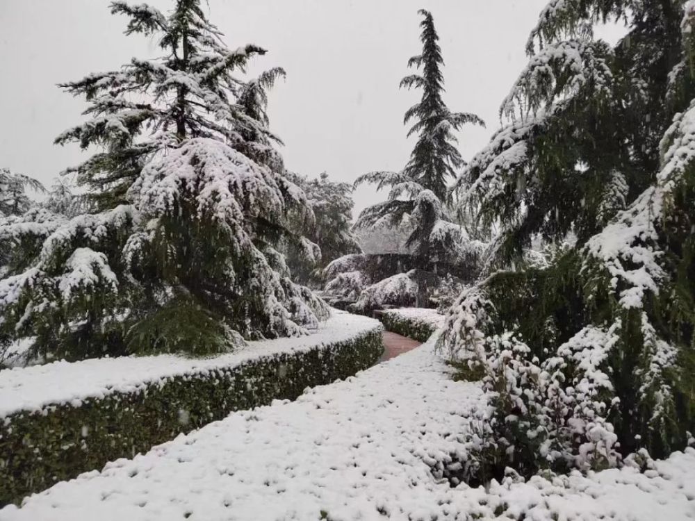 庆阳,下雪啦!