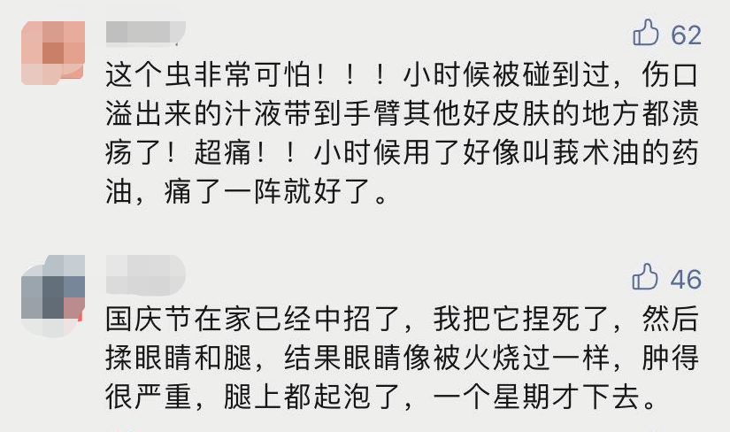 小心小心简谱_不是我不小心口琴简谱(2)