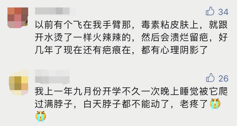 小心小心简谱_不是我不小心口琴简谱(2)