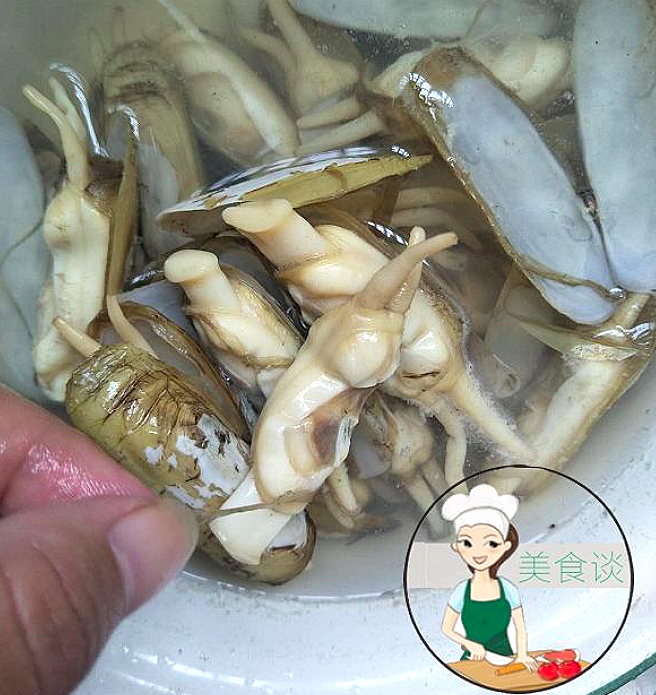 4,把焯水好的蛏子捞起放入凉水里浸泡清理,把壳去掉,把蛏子里的黑色