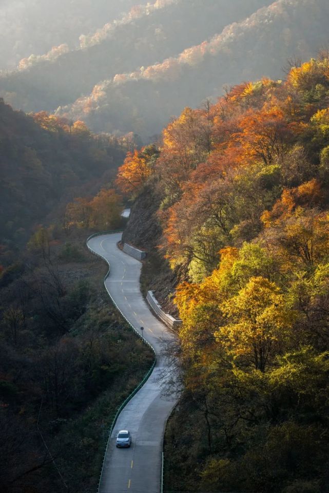 秦岭最美景观大道全线均位于汉中市留坝县域内,除紫柏山与张良庙外,均