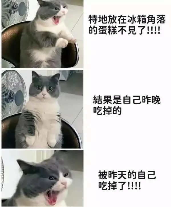 沙雕梗图31放了全校人的鸽子