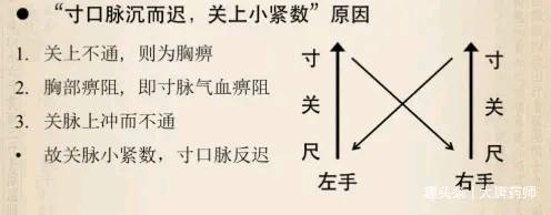 "寸口脉沉而迟,我们这个寸口就指的寸部脉,沉脉主里,迟主寒"关上的