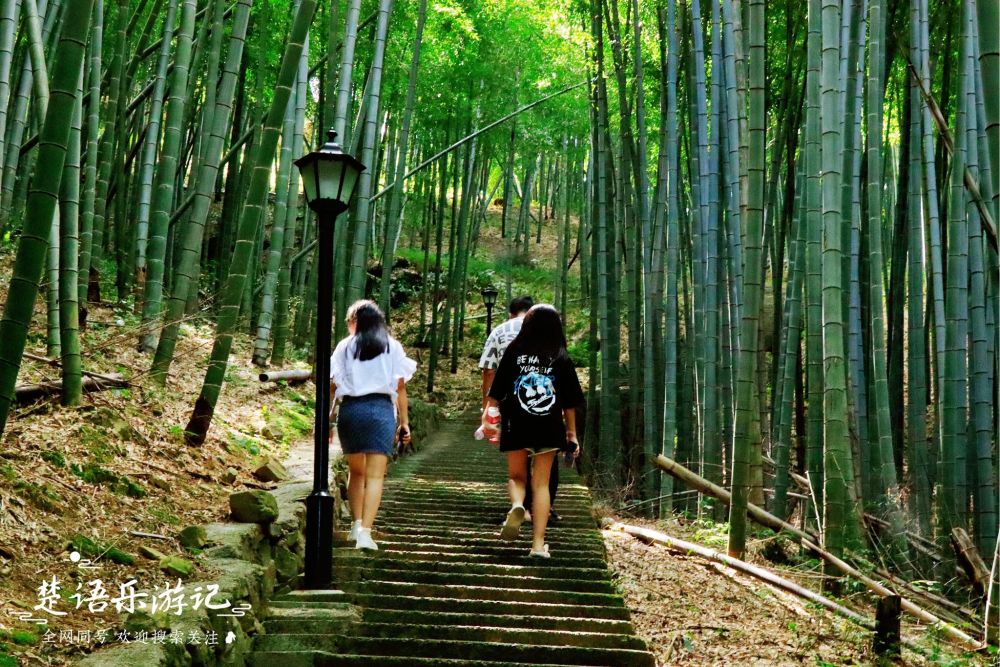 宁波大雷山麓竟藏着一处风景,溪竹和瀑布美不胜收,很多人不知道