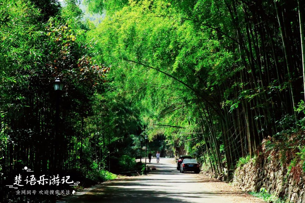 宁波大雷山麓竟藏着一处风景,溪竹和瀑布美不胜收,很多人不知道