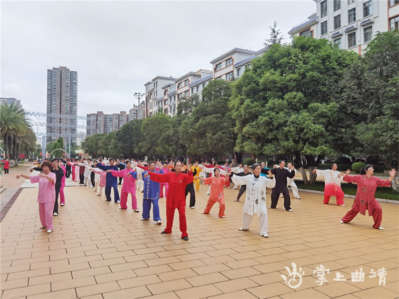 曲靖市太极拳学会义务推广沙式十二式太极拳