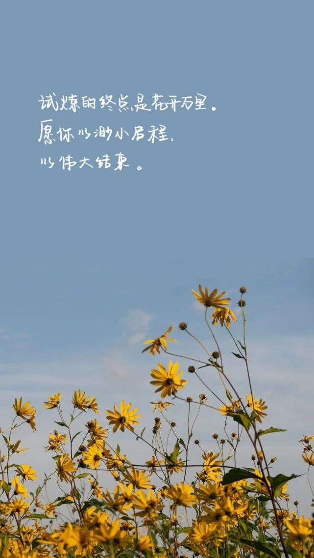 【清新励志桌面壁纸】【诺基亚--专用锁屏壁纸】适合想努力的你相信