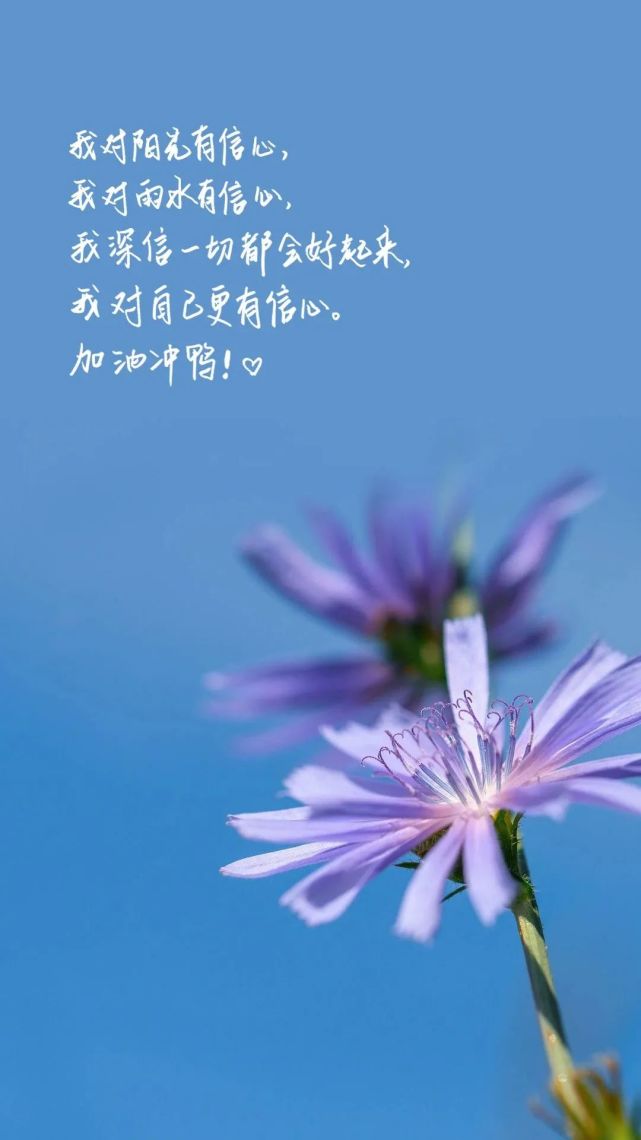 【清新励志桌面壁纸】【诺基亚--专用锁屏壁纸】适合想努力的你相信