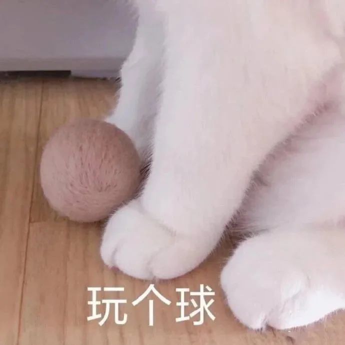 表情包动图我劝你放手