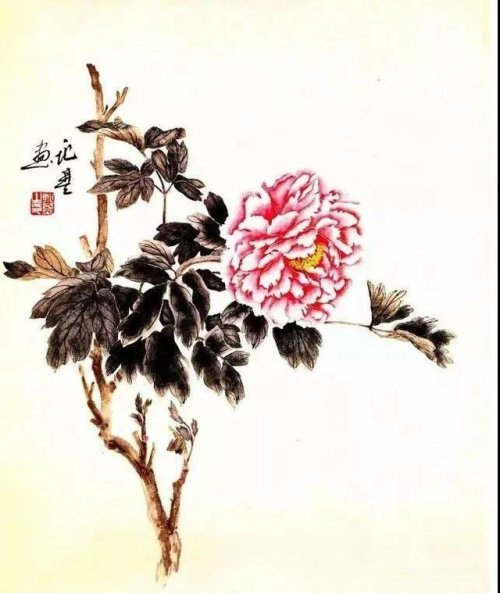 牡丹的10种画法