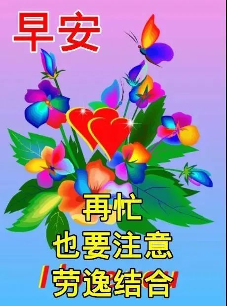 特漂亮早上好问候语鲜花动态表情图片 早安问候祝福语说说带温馨图片