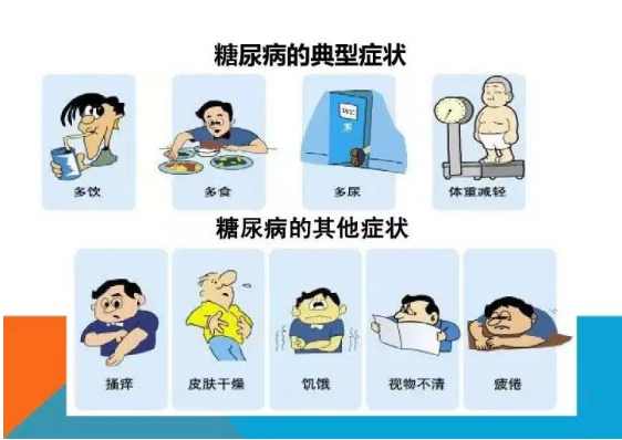 一型和二型糖尿病的区别在哪