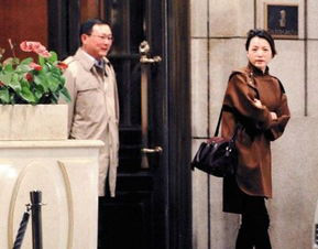 上海富豪密春雷60亿买了一块地轰动全网央视名嘴董卿是他老婆