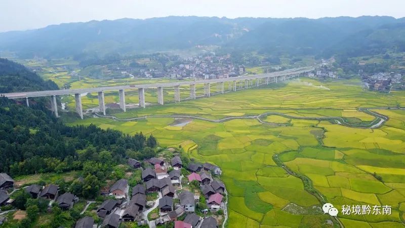 【诗歌】苗岭侗乡秋意浓