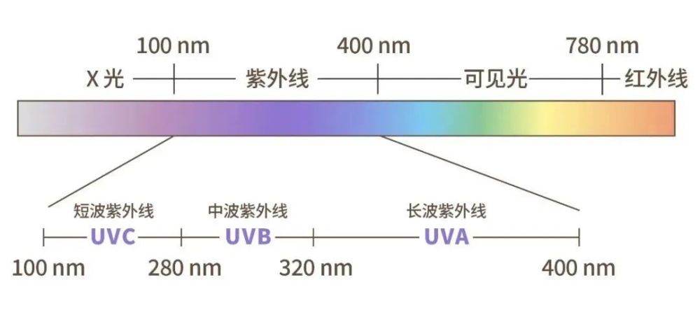 紫外线,是波长在 100nm ～ 400nm 之间的不可见光