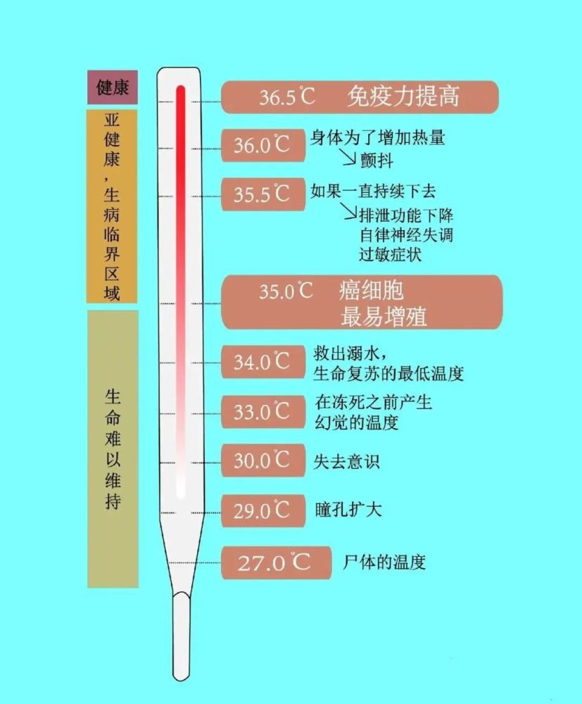 体温过低,可能意味着代谢不好.