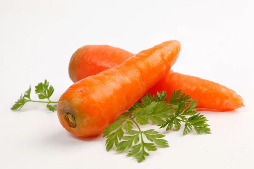 白萝卜红萝卜作用不同,养生食疗时要分清
