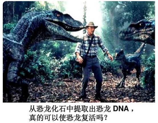 侏罗纪走进现实中国科学家疑发现1亿年前恐龙dna能复活它吗