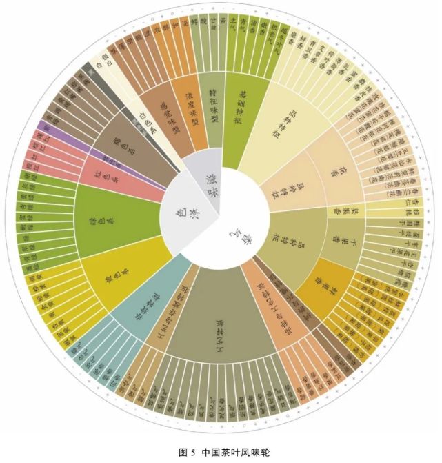 中国茶叶感官审评术语基元语素研究与风味轮构建(内含