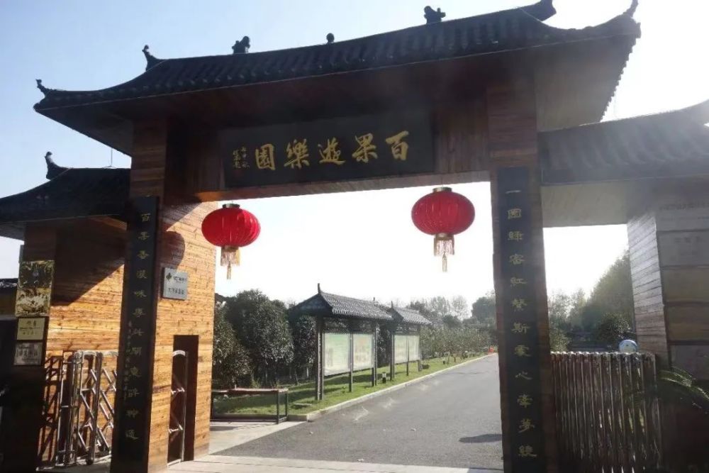 大圩百果园生态农庄里的火龙果采用的是人工授粉,因此口感也相对更为