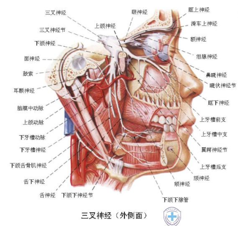 继发性三叉神经痛(症状性三叉神经痛):是指由颅内外各种器质性病变