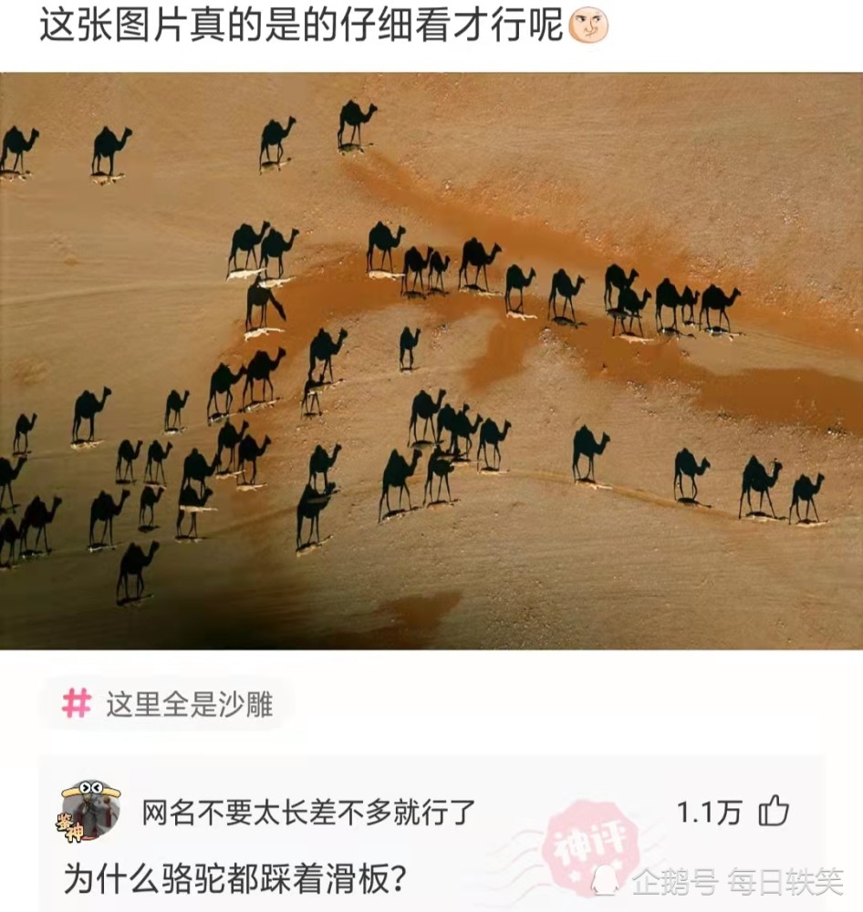 成语山枯什么死_成语故事简笔画(2)