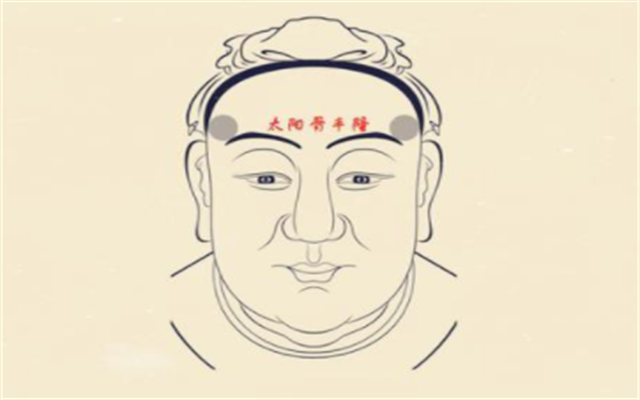 枕骨天庭骨位于发际,天庭的下方,额头的上半部.