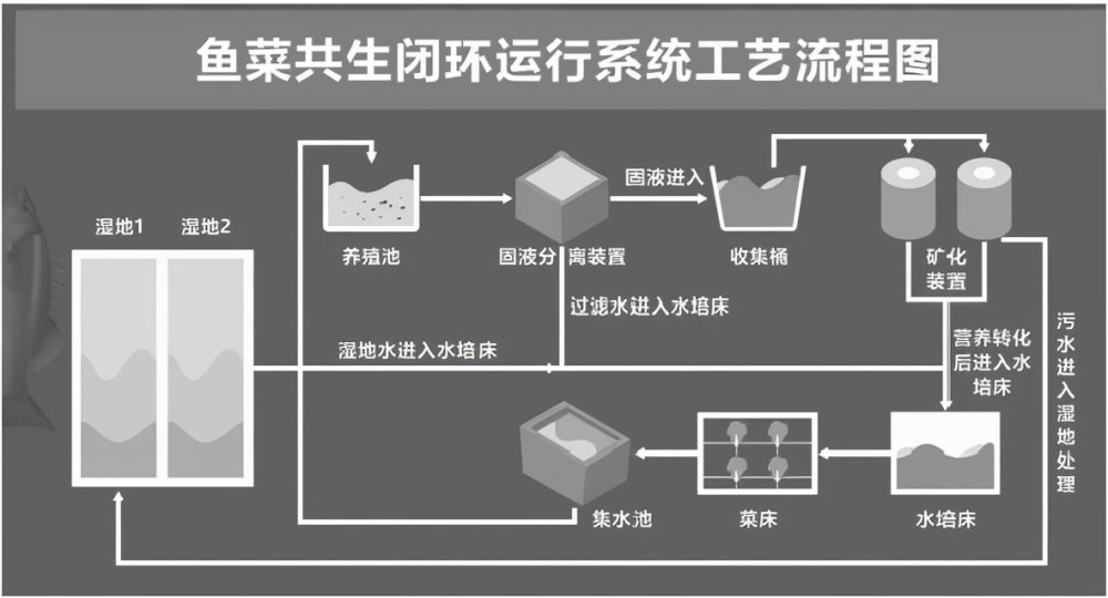 基金项目鱼菜共生生态种养模式的探索与应用效果