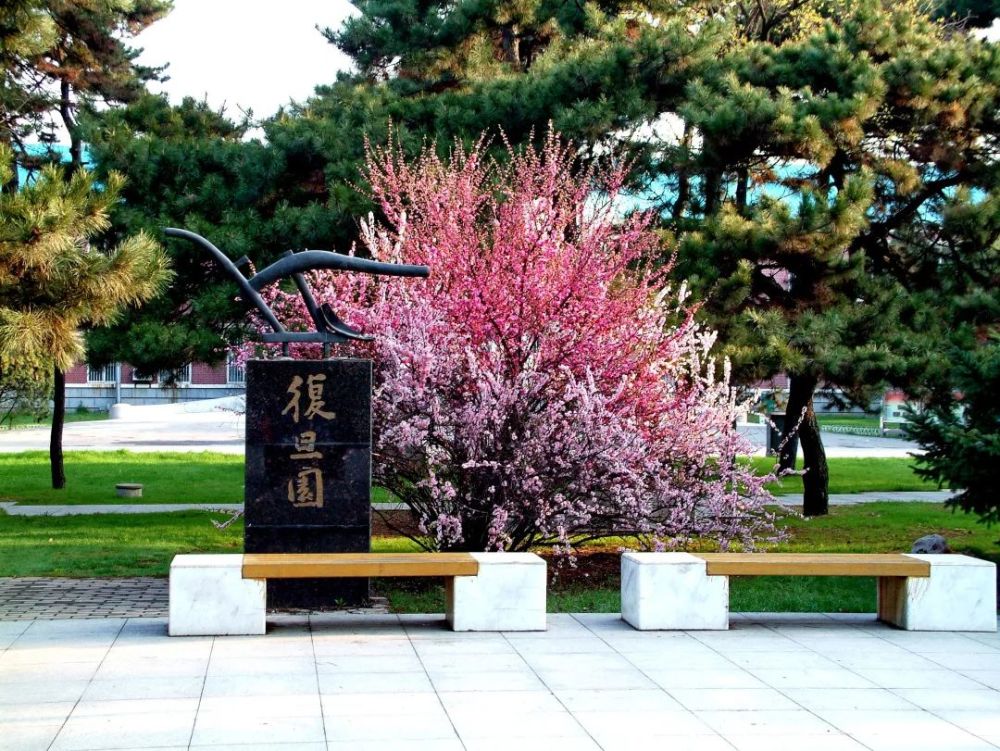 辈 先 贤 沈阳农业大学69周年校庆 1952年,张克威担任沈阳农学院院长