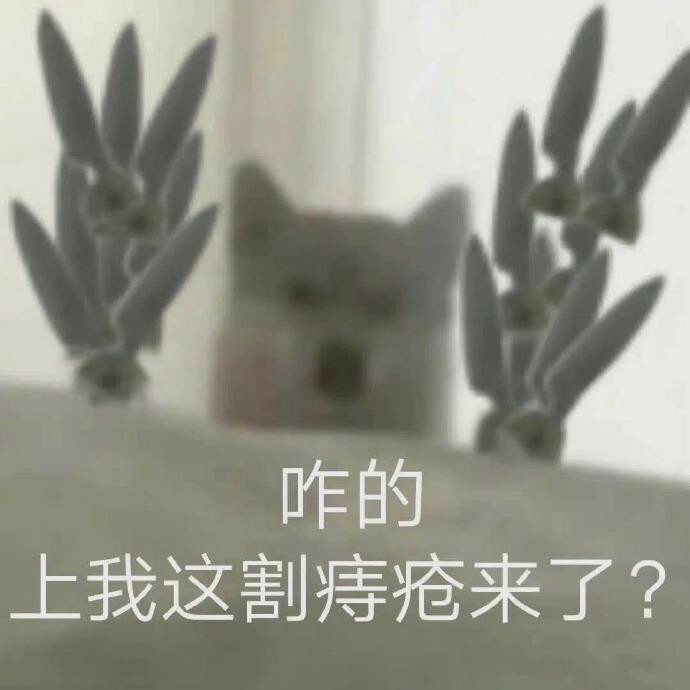 沙雕表情包又更新了