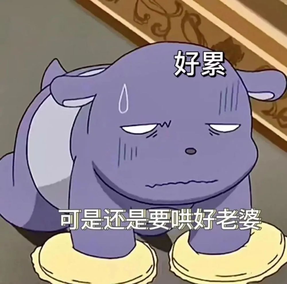 巴库老婆奴表情包我的女人必须宠着