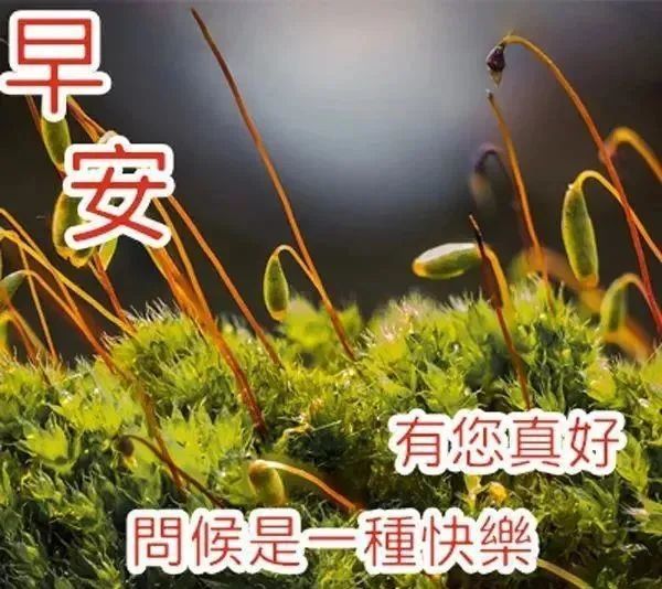 寒冬微信醉美早上问候语图片表情微信群送亲人的早安祝福