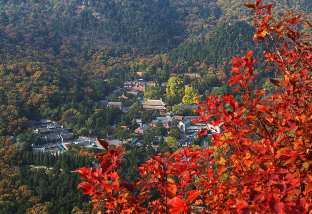 北京千年古寺潭柘寺,古树参天环境清幽,很多人不认识"