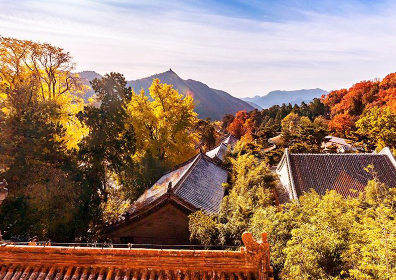 北京千年古寺潭柘寺,古树参天环境清幽,很多人不认识"柘"字_腾讯新闻