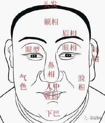 面相精义眉