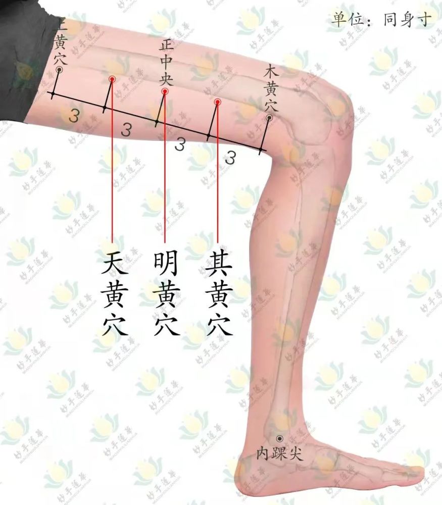 明黄穴:大腿内侧的正中央处.天黄穴:大腿内侧,明黄穴上三寸.