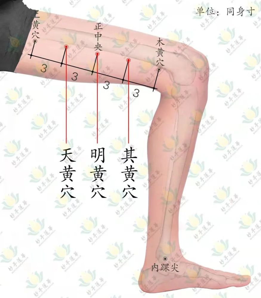 天黄穴:大腿内侧,明黄穴上三寸.上三黄穴指:天黄穴,明黄穴,其黄穴.